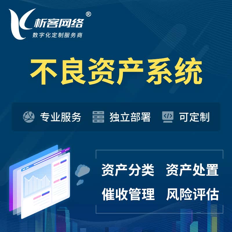 青海不良资产管理系统