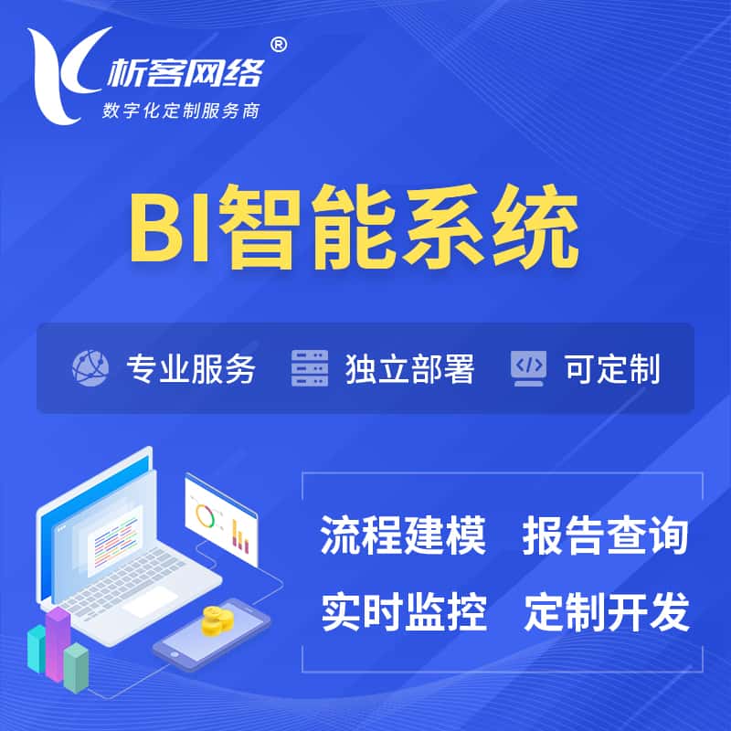青海BI智能系统 | BI数据可视化